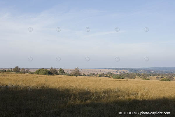 les Hautes Fagnes